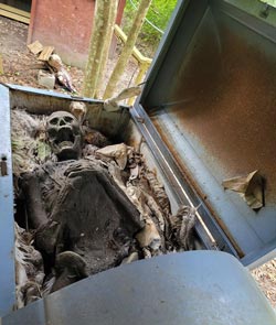 the fright trail 2